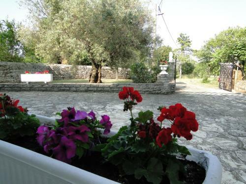 Apartments Villa Maran