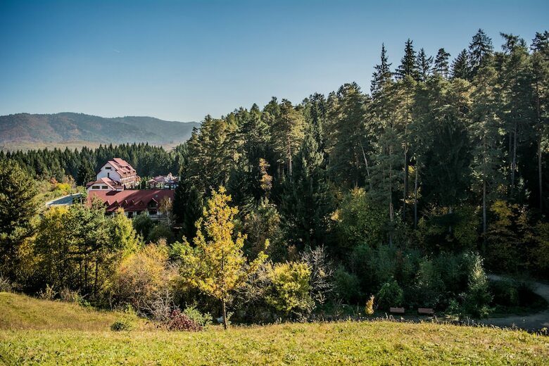 Hotel Hanul Muresenilor