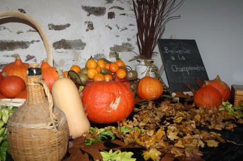 Bed & Breakfast La Champreni�re