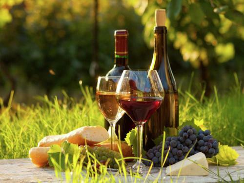 Holiday Home Les Fontanelles Bagat En Quercy
