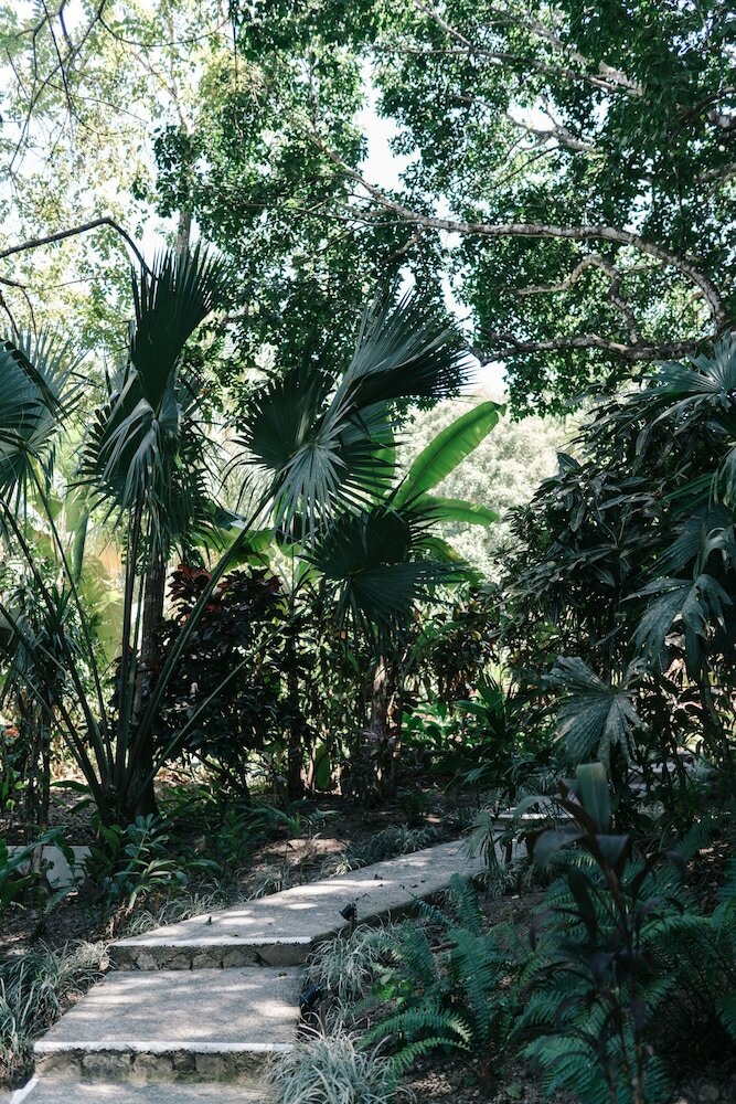 Hotel Star Mountain Jungle Lodge