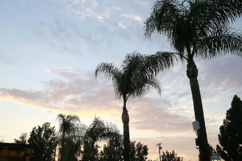 Sky Palm Motel