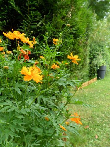 Bed & Breakfast Chambres D'h�tes La Turone