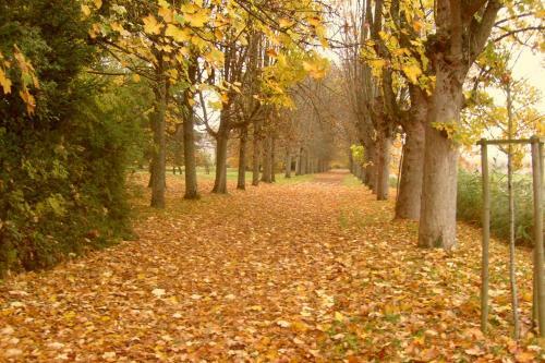 Bed & Breakfast Ch�teau De Serrigny