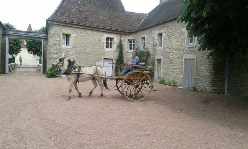 Bed & Breakfast Ch�teau De Serrigny