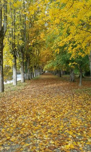 Bed & Breakfast Ch�teau De Serrigny
