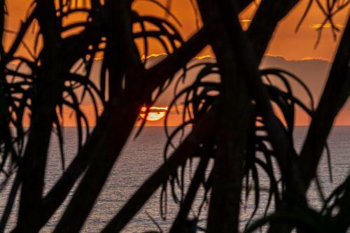Apartamentos Chakas Cove