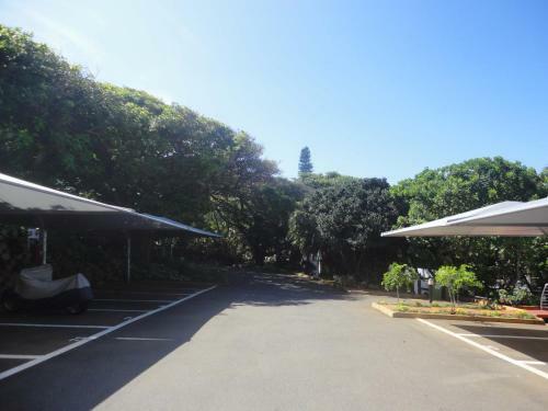 Apartamentos Chakas Cove