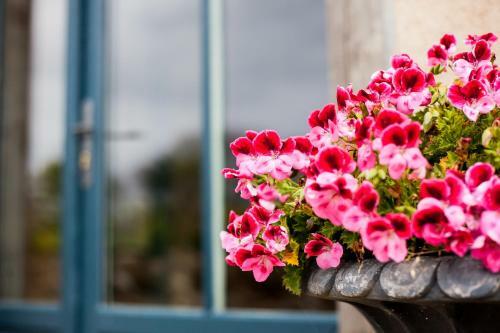 B&B Manoir Du Clos Clin