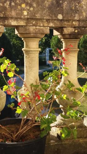 Bed & Breakfast Ch�teau De La Tillade