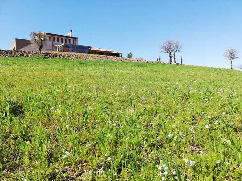 Agroturismo Agriturismo Le Piccole Macie