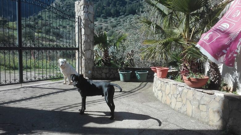 Agroturismo Casa Siciliana Altarbiah