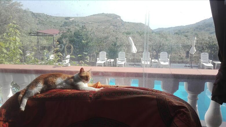 Agroturismo Casa Siciliana Altarbiah
