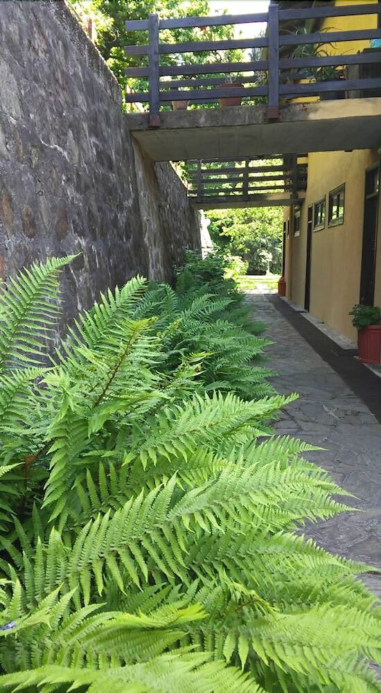 Bed & Breakfast La Fattoria Del Pino