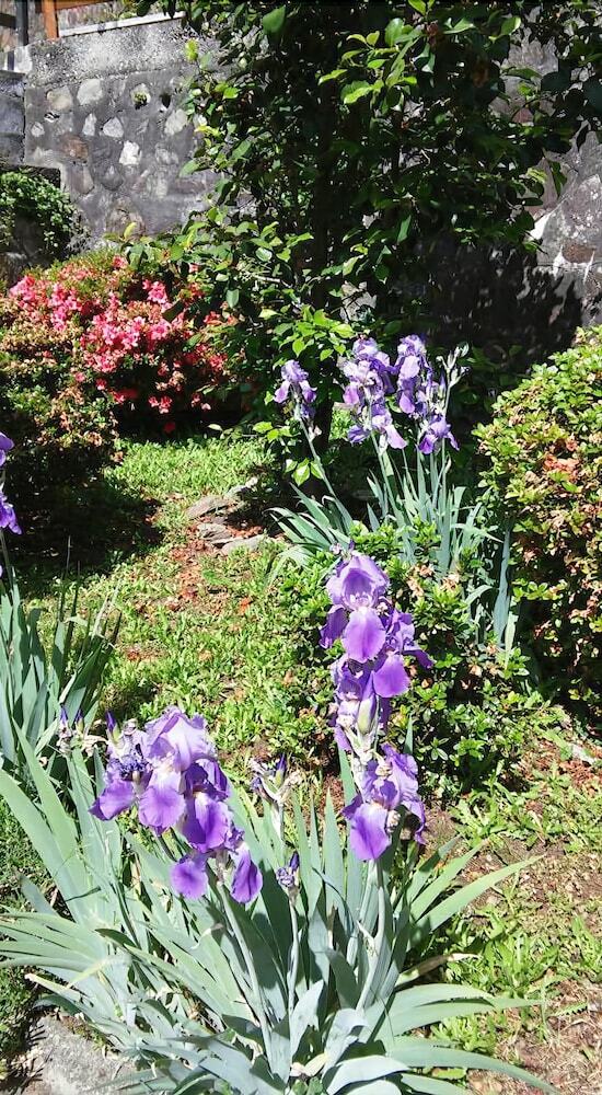 Bed & Breakfast La Fattoria Del Pino