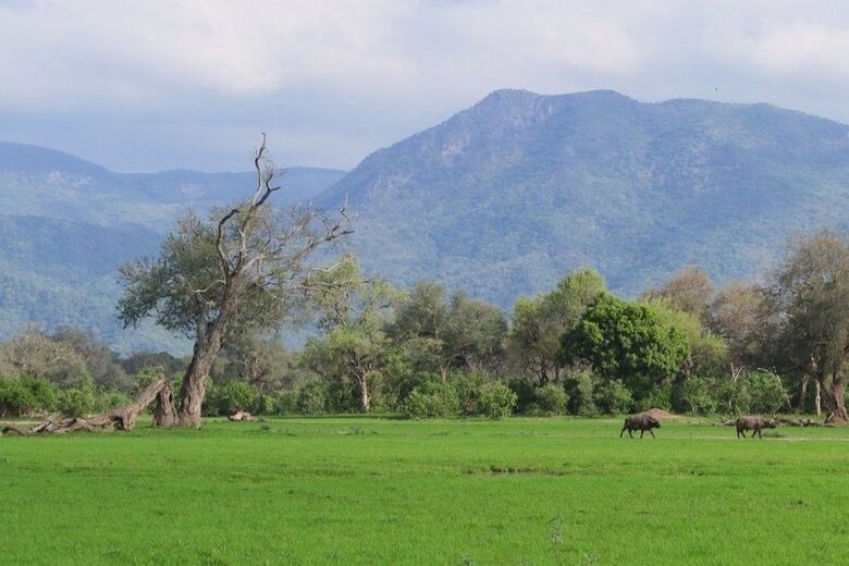 Mwinilunga Safaris