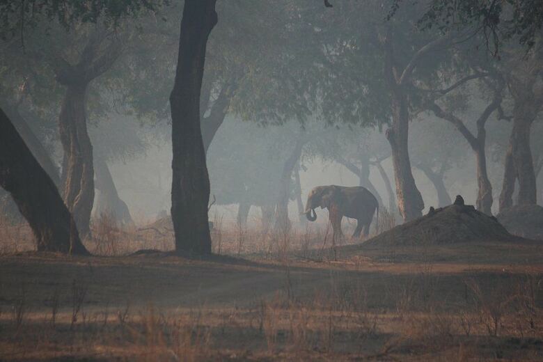 Mwinilunga Safaris