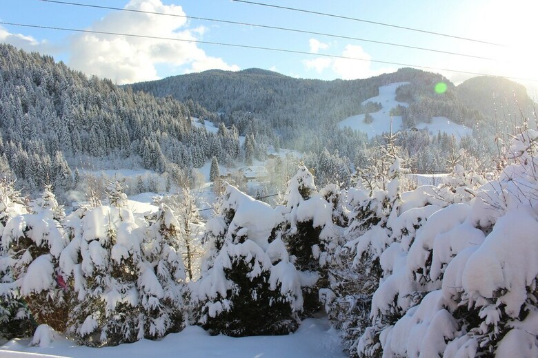 Chalet L'edelweiss