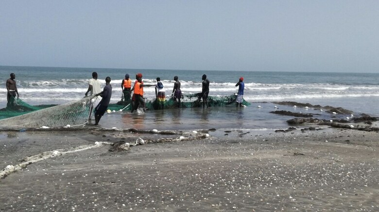 Aparthotel Kunta Kinteh Beach Complex