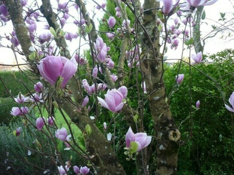 Bed & Breakfast La Clef de Broc�liande