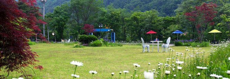 Angel Dream Pension