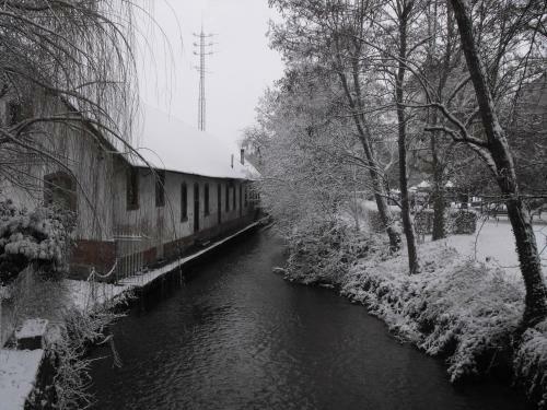 Hotel H�tel D'alsace