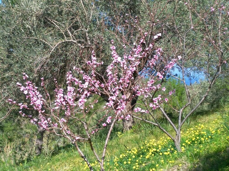 B&B I Giardini Di Lala
