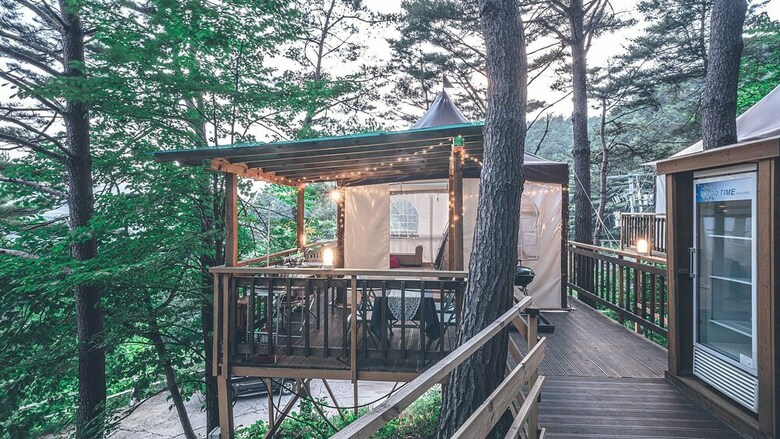 Couplestar In Forest Glamping