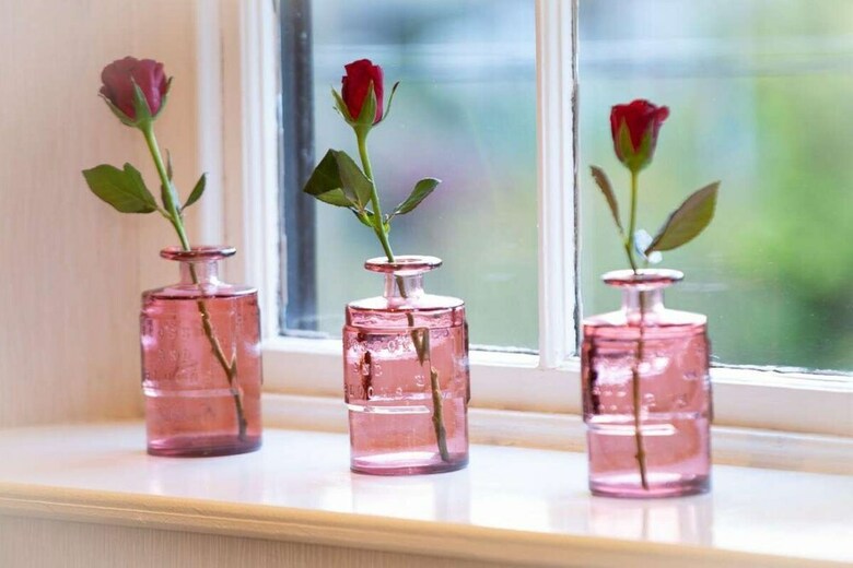 Bed & Breakfast Brantholme Guest House