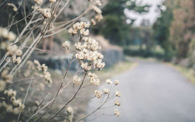 By The Hill Jeju