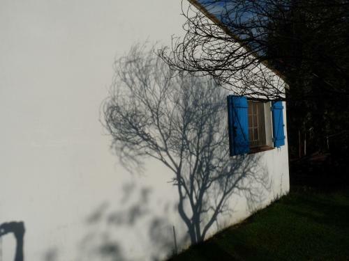 Bed & Breakfast Bergerie D'alivon En Camargue