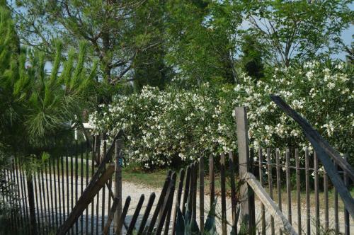 Bed & Breakfast Bergerie D'alivon En Camargue