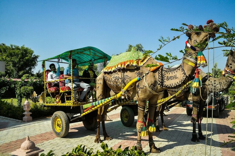 Hotel Ranthambore Bagh Palace