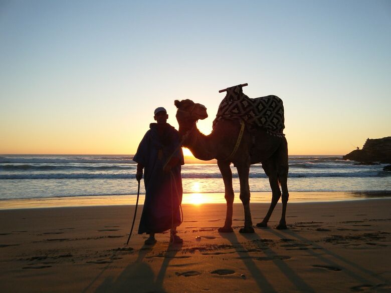 Hotel Surf House Morocco
