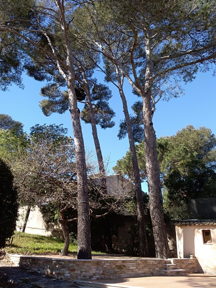 Villa Residence Begude