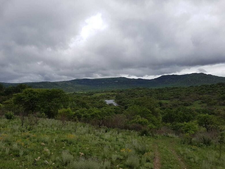 Camissa Tented Camp