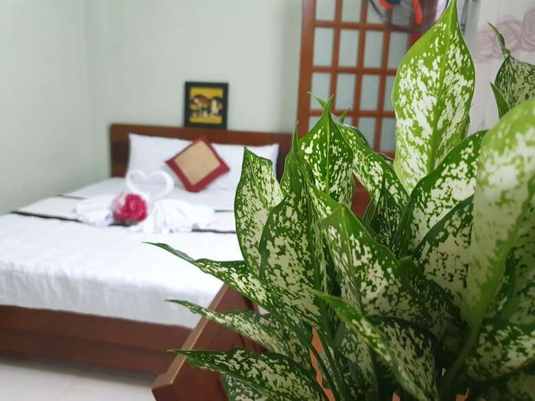 Truong Son Hotel