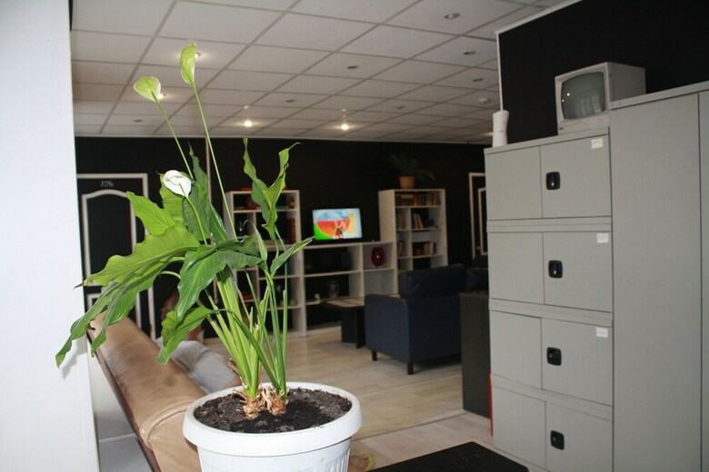 Hostal Frendzona - Hostel