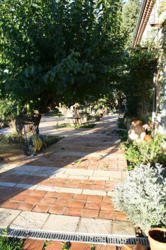 Bed & Breakfast Les Vignes De Terrisse