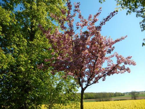 Bed & Breakfast Chambres D'h�tes - Domaine Des Perri�res