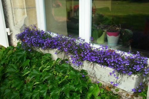 Bed & Breakfast Chambres D'h�tes - Domaine Des Perri�res