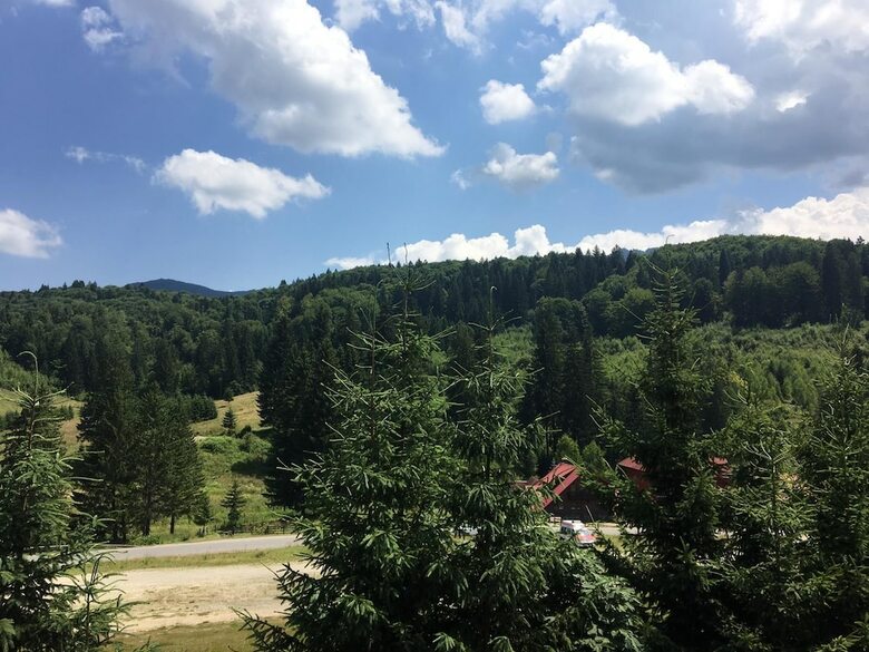 Villa Pensiunea Poiana Cristian