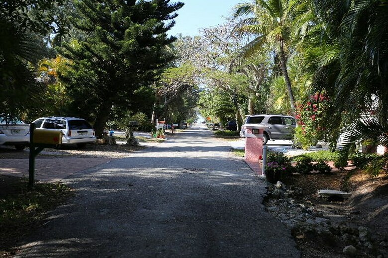 141 Coconut Dr. - M