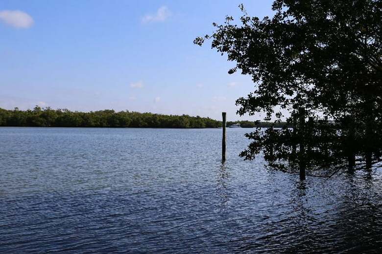 141 Coconut Dr. - M