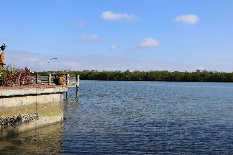 141 Coconut Dr. - M