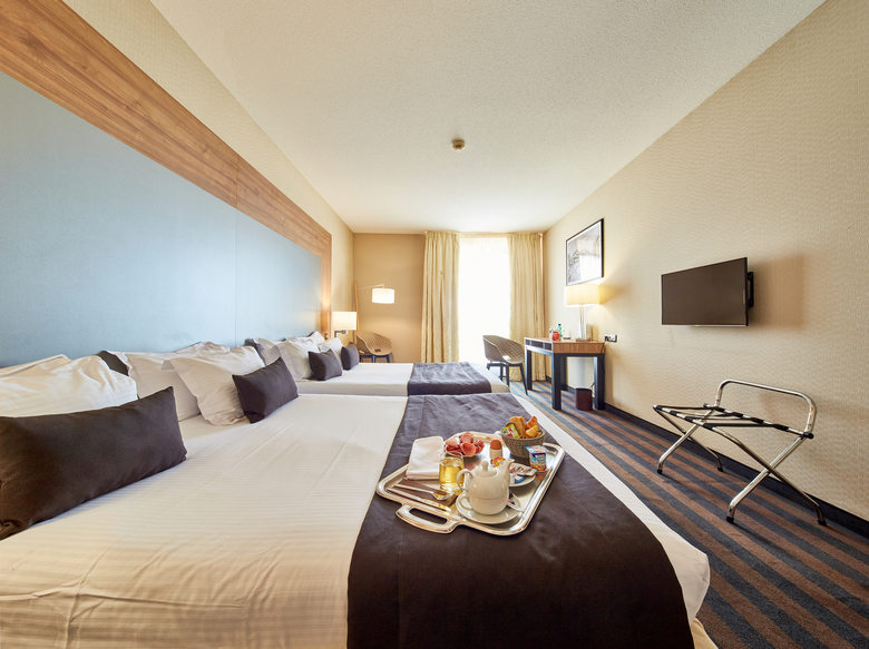 Hotel Holiday Inn Strasbourg Illkirch