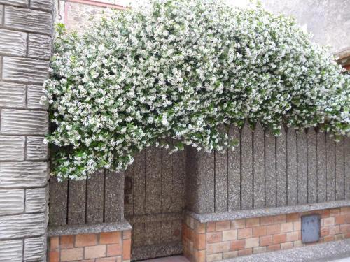 Bed & Breakfast Chambres D'h�tes La Rose Des Vents
