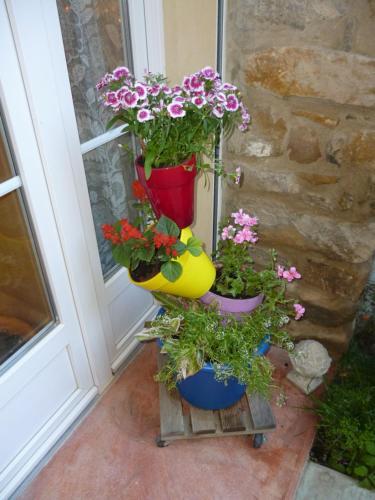 Bed & Breakfast Chambres D'h�tes La Rose Des Vents