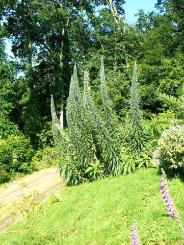 G�te La Bertich�re