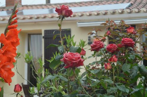 Bed & Breakfast Chambres D'h�tes La Forterie